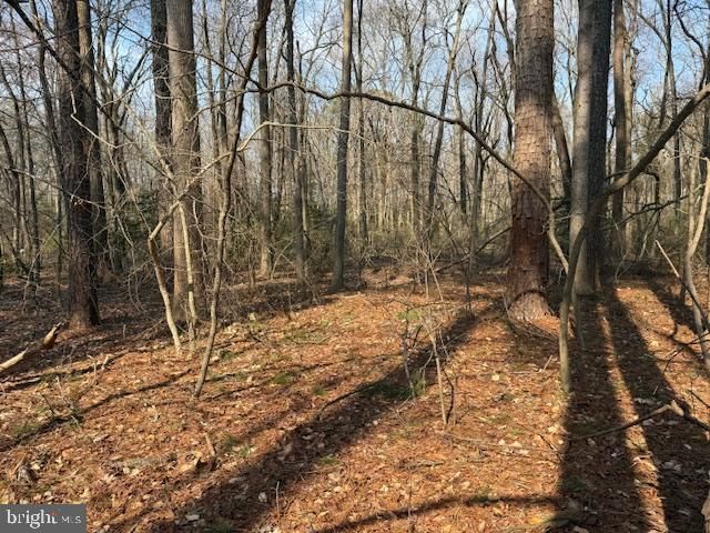 0 HENRY RD, Berlin, MD 21811