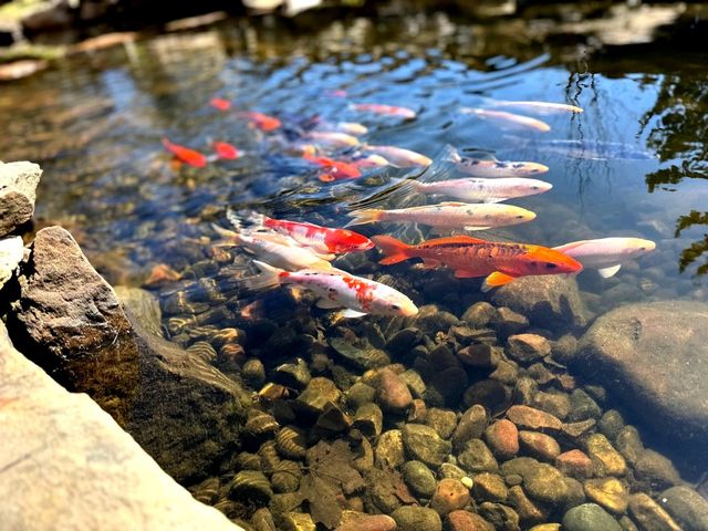 1524 W Mooseheart Road, North Aurora, IL 60542