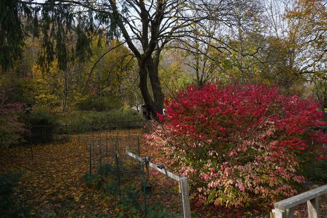 363 Windham Road, Windham, CT 06226