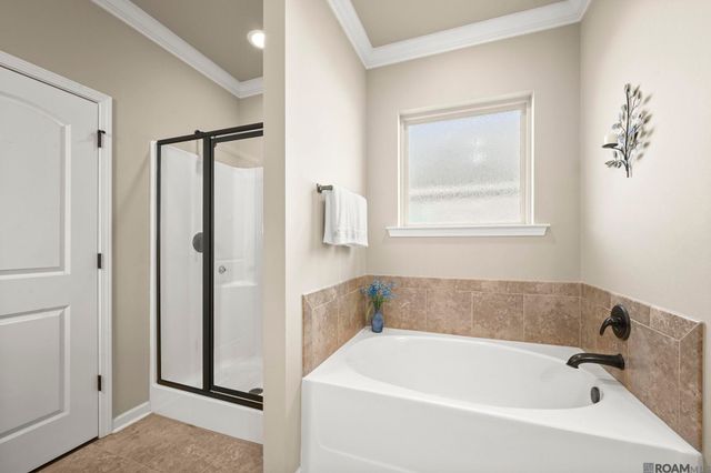 16479 Walk Around Ave, Prairieville, LA 70769