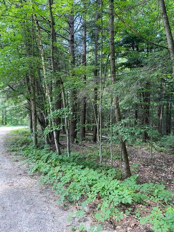 00 Norrie Davies Road, Cavendish, VT 05153