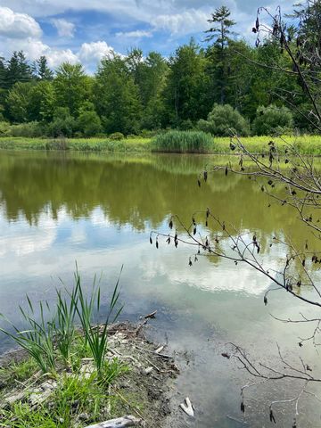 00 Norrie Davies Road, Cavendish, VT 05153