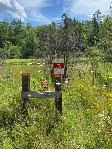 00 Norrie Davies Road, Cavendish, VT 05153