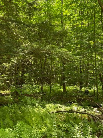00 Norrie Davies Road, Cavendish, VT 05153