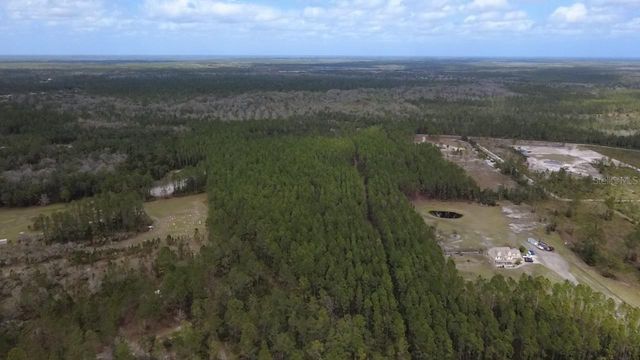 WILD CUR ROAD, Pierson, FL 32180