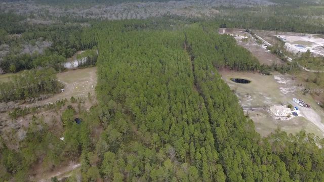WILD CUR ROAD, Pierson, FL 32180
