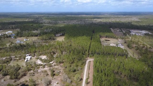 WILD CUR ROAD, Pierson, FL 32180