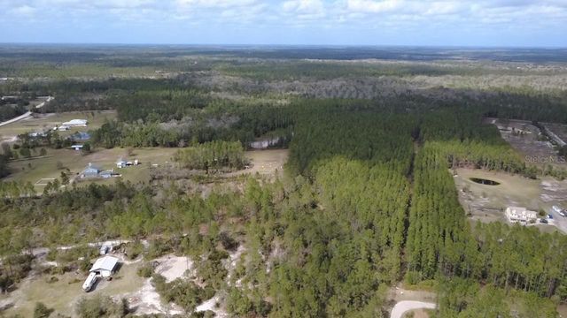 WILD CUR ROAD, Pierson, FL 32180