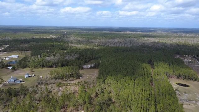 WILD CUR ROAD, Pierson, FL 32180