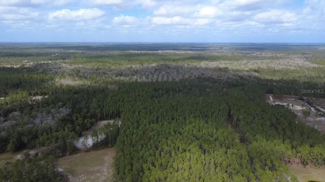 WILD CUR ROAD, Pierson, FL 32180
