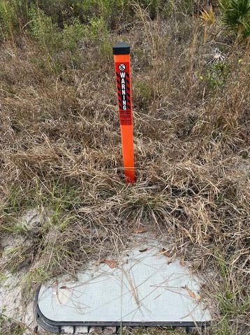 WILD CUR ROAD, Pierson, FL 32180