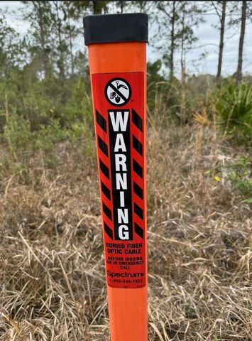 WILD CUR ROAD, Pierson, FL 32180