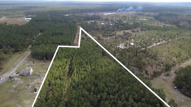 WILD CUR ROAD, Pierson, FL 32180