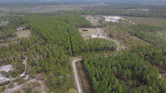 WILD CUR ROAD, Pierson, FL 32180