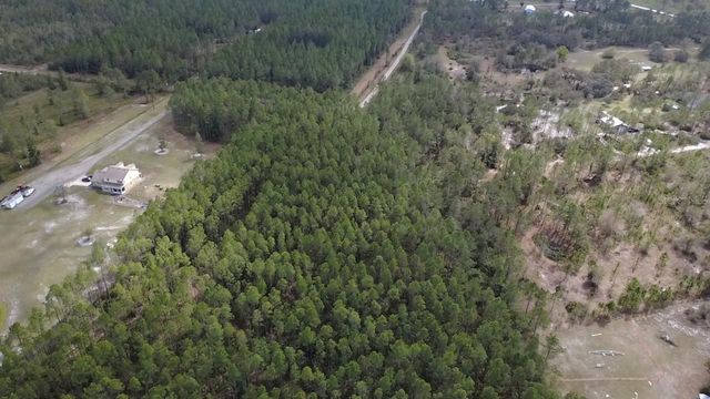 WILD CUR ROAD, Pierson, FL 32180