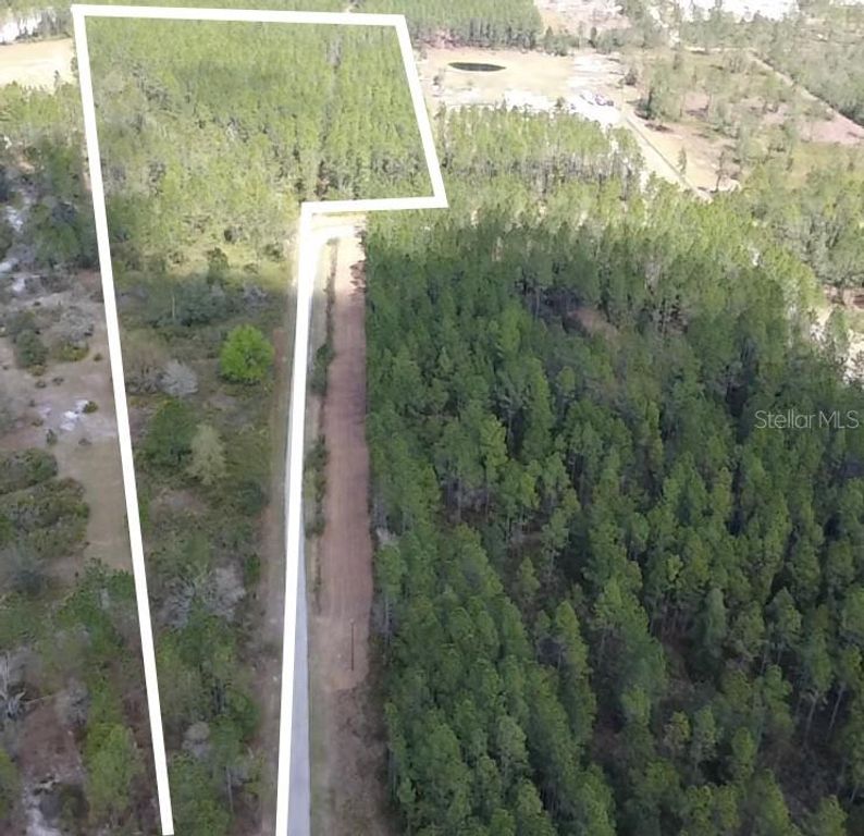 WILD CUR ROAD, Pierson, FL 32180
