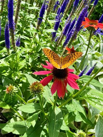 531 Indian Lake Drive, Wright City, MO 63390