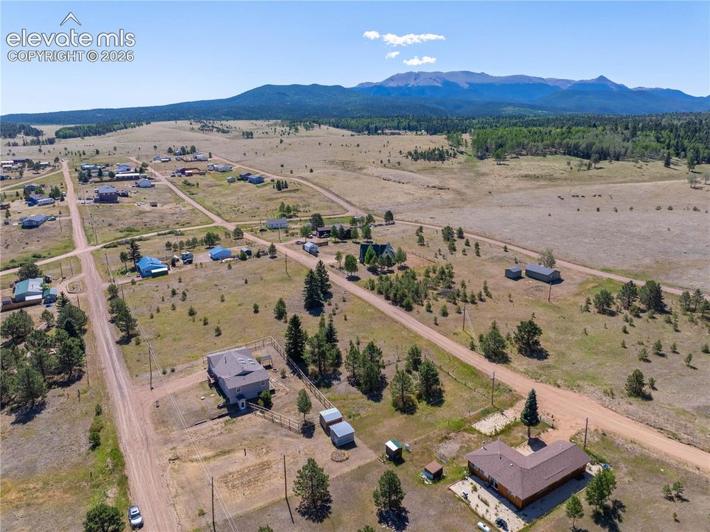1014 Elfin Glen Drive, Divide, CO 80814 — photo 3