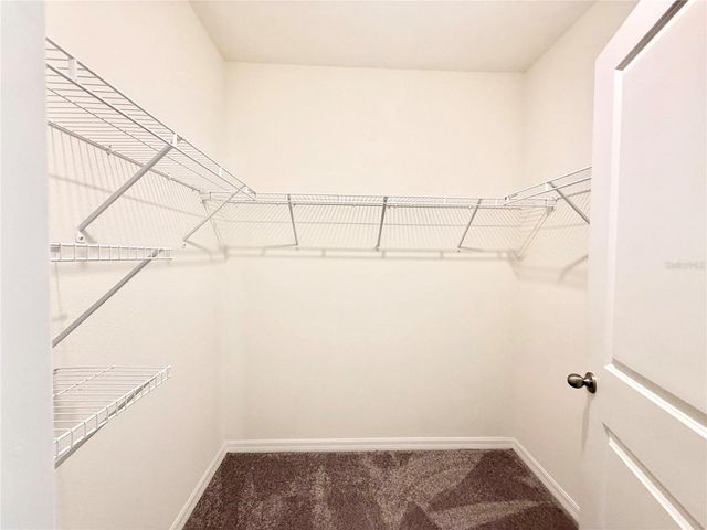 15541 BLACK PEPPER LANE, Odessa, FL 33556