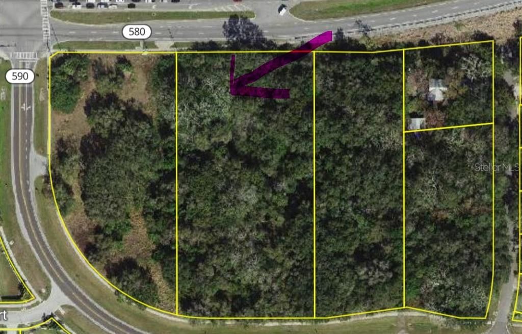 PHILIPPE, Safety Harbor, FL 34695