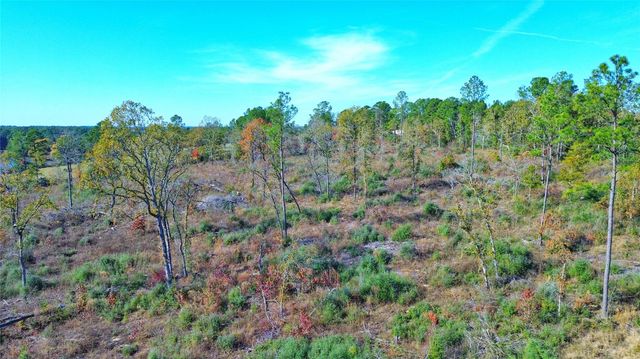 Tract 1 N Farm To Market 2022, Grapeland, TX 75844