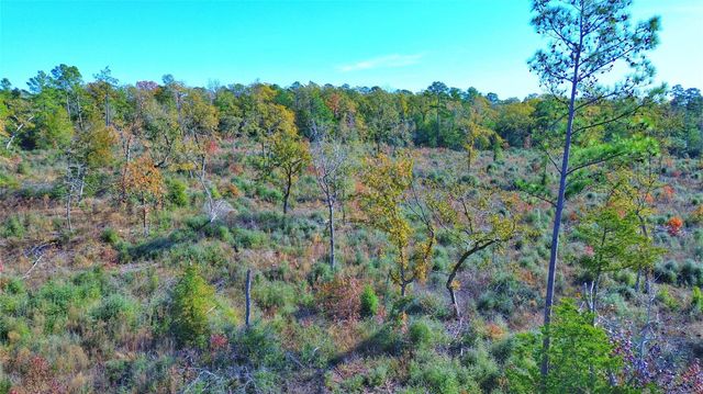 Tract 1 N Farm To Market 2022, Grapeland, TX 75844