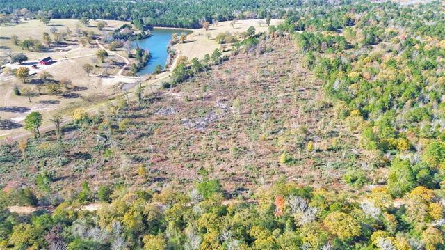 Tract 1 N Farm To Market 2022, Grapeland, TX 75844