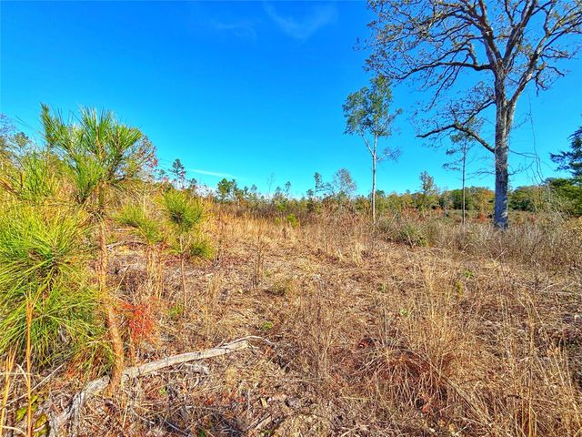 Tract 1 N Farm To Market 2022, Grapeland, TX 75844