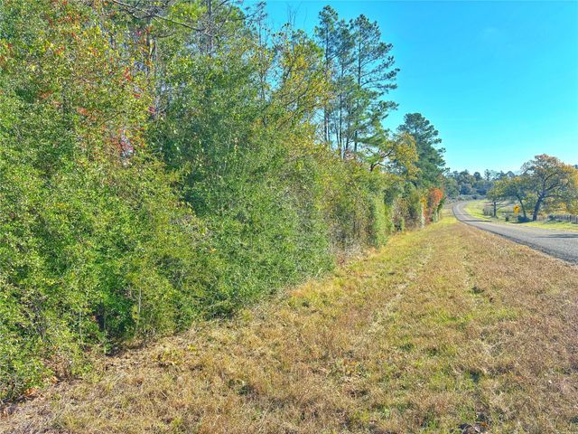 Tract 1 N Farm To Market 2022, Grapeland, TX 75844