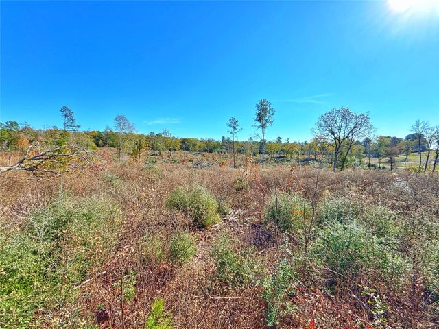 Tract 1 N Farm To Market 2022, Grapeland, TX 75844