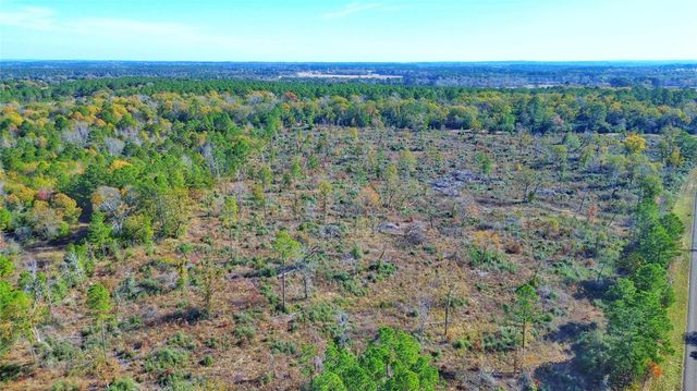 Tract 1 N Farm To Market 2022, Grapeland, TX 75844