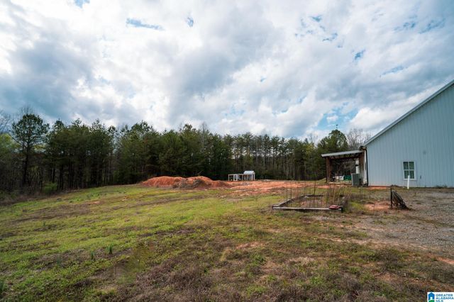 17571 GROUNDHOG ROAD, Adger, AL 35006