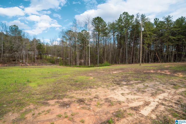 17571 GROUNDHOG ROAD, Adger, AL 35006