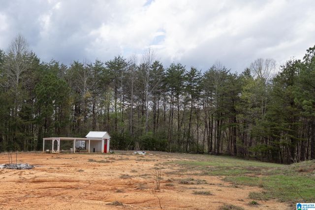 17571 GROUNDHOG ROAD, Adger, AL 35006