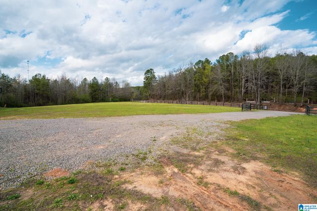 17571 GROUNDHOG ROAD, Adger, AL 35006