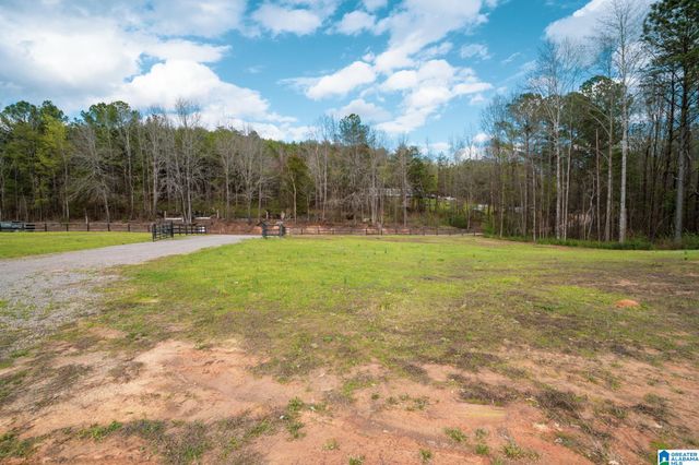 17571 GROUNDHOG ROAD, Adger, AL 35006