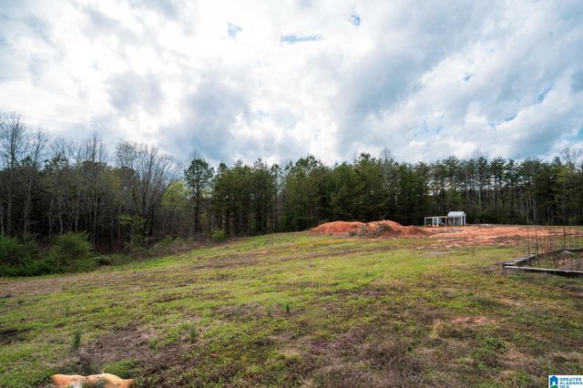 17571 GROUNDHOG ROAD, Adger, AL 35006
