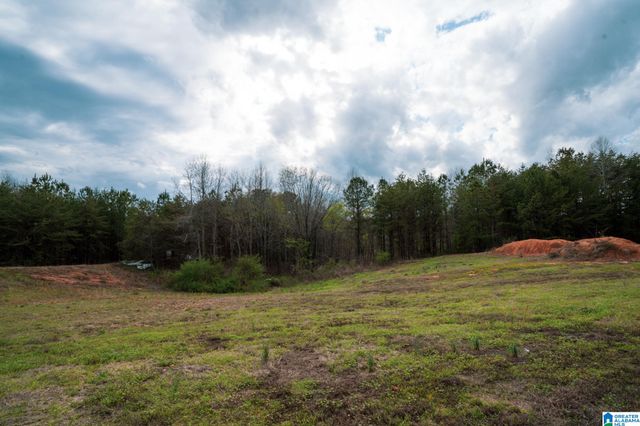 17571 GROUNDHOG ROAD, Adger, AL 35006