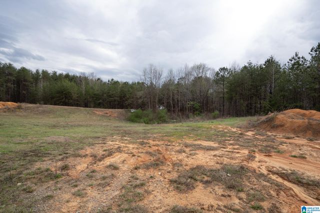 17571 GROUNDHOG ROAD, Adger, AL 35006