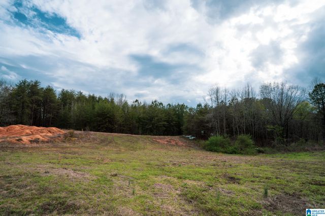 17571 GROUNDHOG ROAD, Adger, AL 35006
