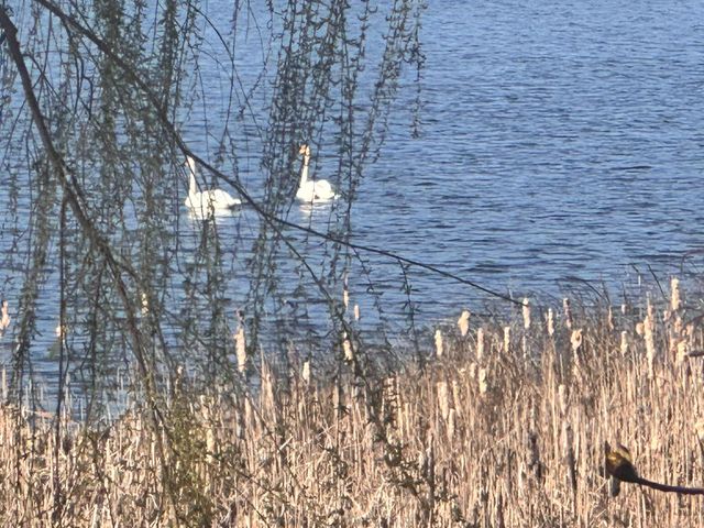 14140 Magnesium Street NW, Anoka, MN 55303