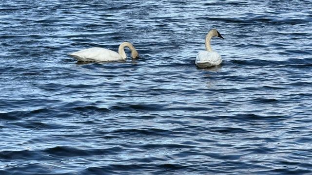 14140 Magnesium Street NW, Anoka, MN 55303