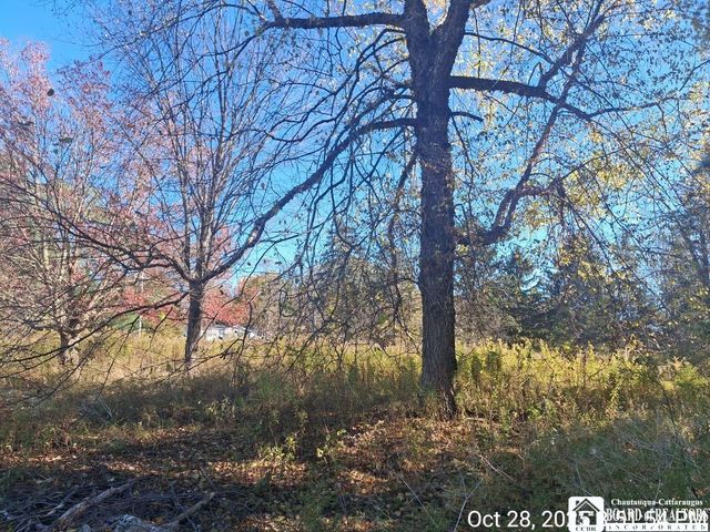 4403 Belleview Road, Ellery, NY 14712