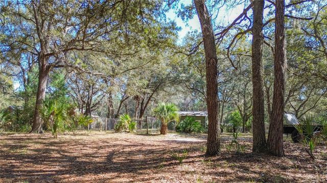 13455 NE 228TH LANE ROAD, Fort Mc Coy, FL 32134