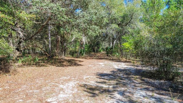 13455 NE 228TH LANE ROAD, Fort Mc Coy, FL 32134