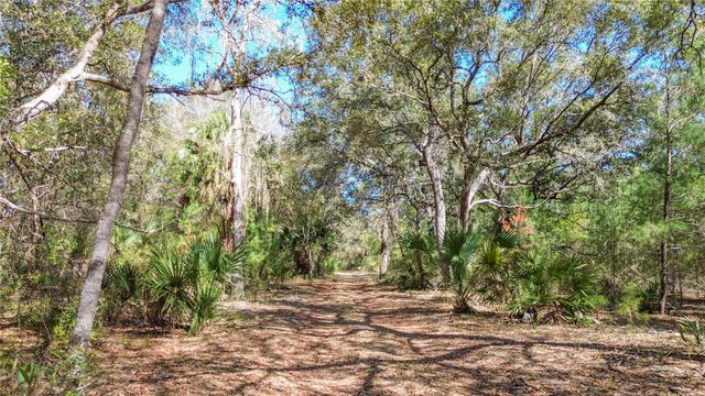 13455 NE 228TH LANE ROAD, Fort Mc Coy, FL 32134