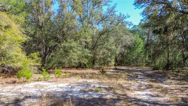 13455 NE 228TH LANE ROAD, Fort Mc Coy, FL 32134