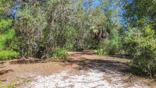 13455 NE 228TH LANE ROAD, Fort Mc Coy, FL 32134