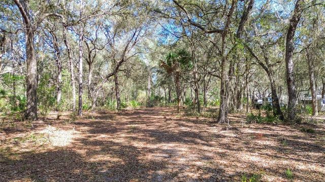 13455 NE 228TH LANE ROAD, Fort Mc Coy, FL 32134