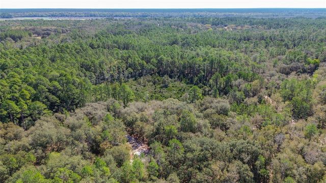 13455 NE 228TH LANE ROAD, Fort Mc Coy, FL 32134